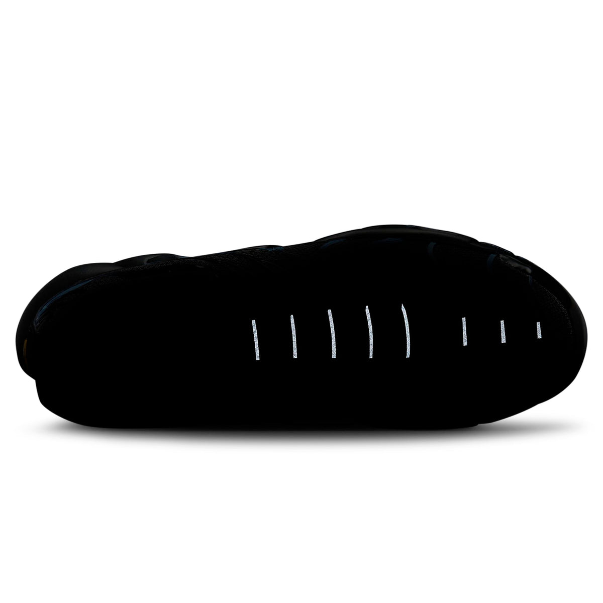 TN Air Max Plus Black University Blue (2022)